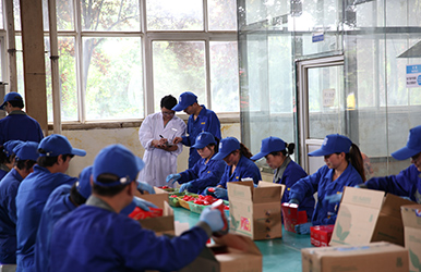 中威高科生產基地