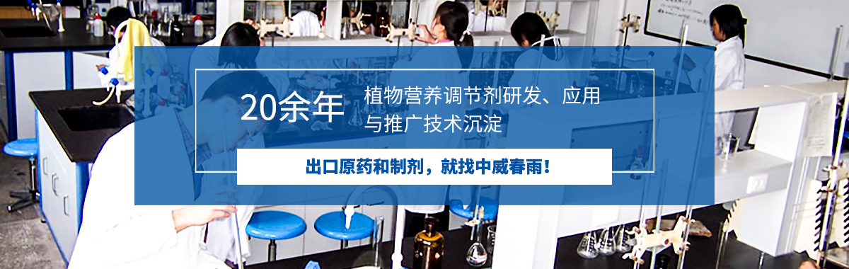 河南中威出口外貿